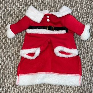 Santa Claus Christmas Outfit for Kittens